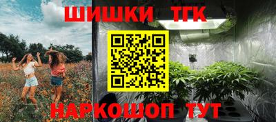 эйфоретик Дубна