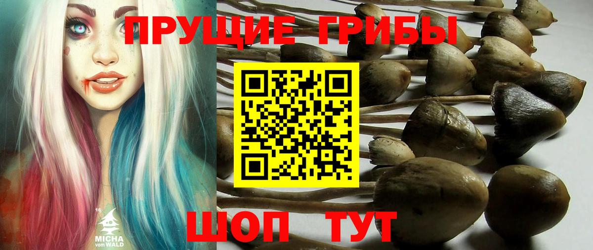 Псилоцибиновые грибы MAGIC MUSHROOMS  Вход с VPN  как найти наркотики  Миллерово 