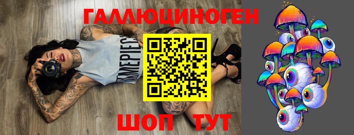 Галлюциногенные грибы Psilocybine cubensis Миллерово